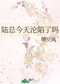 陆总今天也在追前女友林晚晚