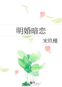 明婚暗恋by宋玖槿全部章节