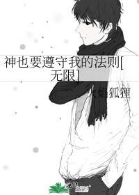 神也要遵守我的法则[无限]