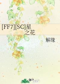 [FF7][SC]星之花